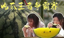 娱乐吃瓜酱平淡期,平淡期下的静默观察